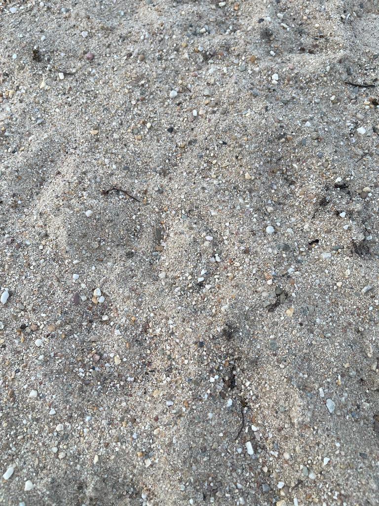 Gratis straatzand - grote hoeveelheid, Tuin en Terras, Ophalen, Gebruikt, Straatzand