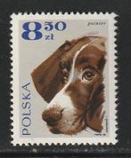 Polen 1969 - Hondenrassen, Ophalen of Verzenden, Polen, Postfris