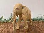 Ivoorkleurige olifant., Ophalen of Verzenden, Zo goed als nieuw, Opgezet dier