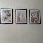 Mooie beige schilderijen, zwarte lijst, desenio poster, Ophalen of Verzenden, Zo goed als nieuw