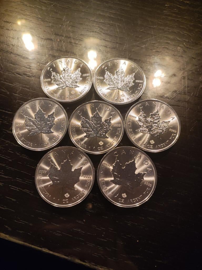 7x Zilveren Maple Leaf Munten 2021 - Puur Zilver (9999), Postzegels en Munten, Edelmetalen en Baren, Ophalen of Verzenden, Zilver