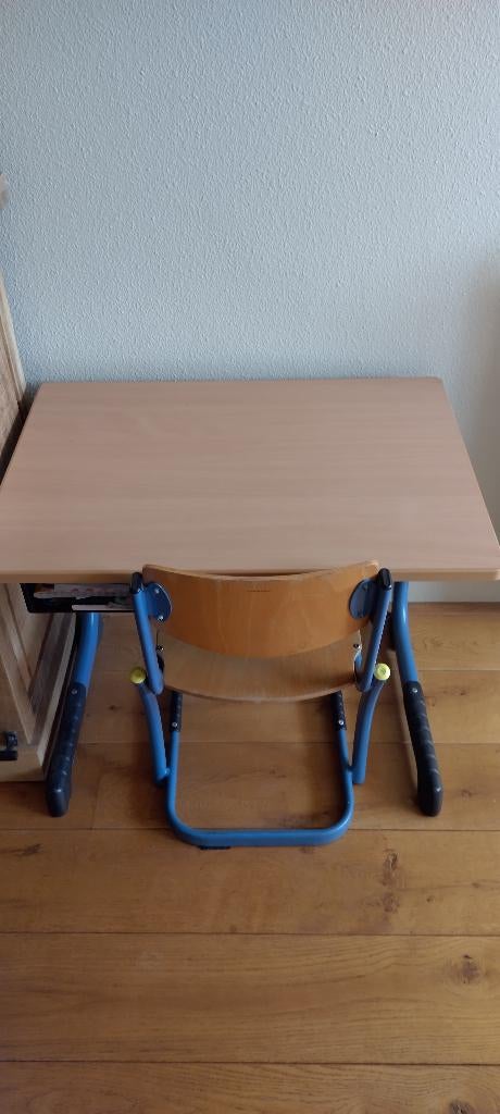 Schoolbankje, Kinderen en Baby's, Kinderkamer | Tafels en Stoelen, Ophalen, Gebruikt, Tafel(s) en Stoel(en)
