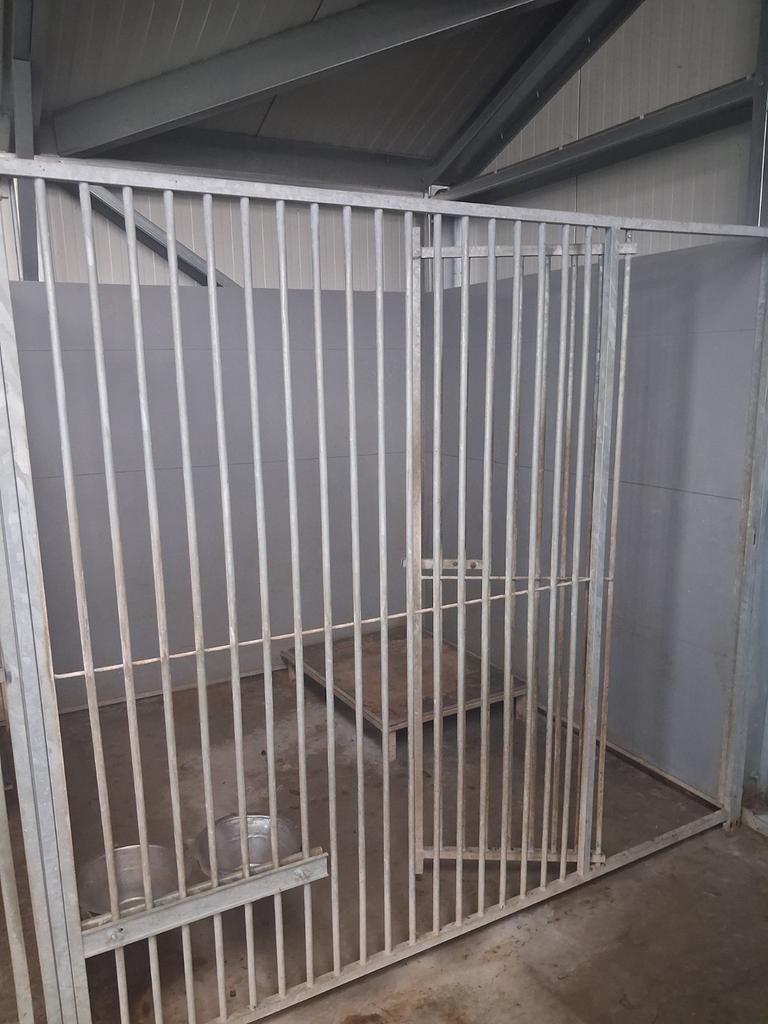 Complete  kennel 2 bij 2 meter, Dieren en Toebehoren, Ophalen, 110 cm of meer, 100 cm of meer