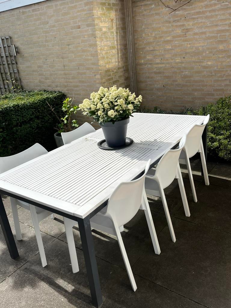 Tuintafel met 6 stoelen, Tuin en Terras, Tuinsets en Loungesets, Ophalen, Gebruikt, 6 zitplaatsen, Tuinset