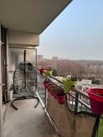 GEZOCHT: iemand die een kattennet of balkonnet kan plaatsen, Dieren en Toebehoren, Katten-accessoires, Ophalen