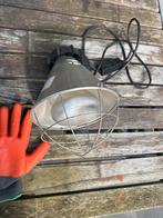 Warmtelamo voor dieren, Ophalen of Verzenden