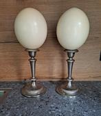 diverse opgezette dieren taxidermie anatomische modelen, Ophalen of Verzenden, Opgezet dier