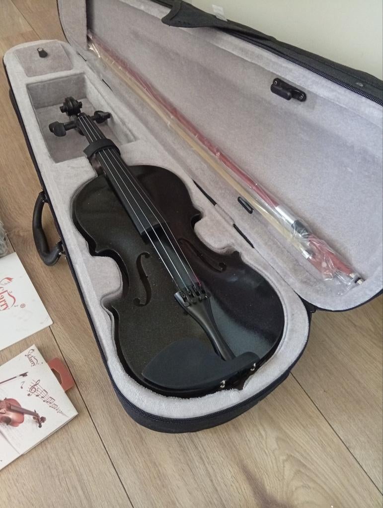 Glarry Viool nieuw in koffer, Onbekend, Ophalen of Verzenden, 4/4-viool, Met koffer