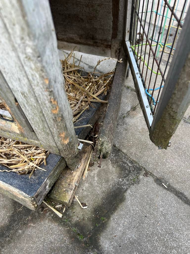 Konijnenhok gratis opknapper, Dieren en Toebehoren, Knaagdieren en Konijnen | Hokken en Kooien, Gebruikt, Hok, 90 cm of meer, 75 tot 110 cm