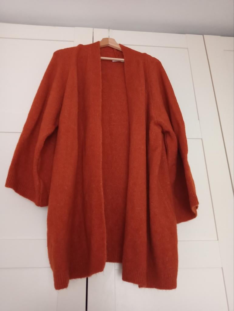 Oranje vest (paprika), Trui of Vest, Oranje, Ophalen of Verzenden, Zo goed als nieuw