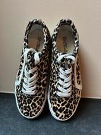 Leopardprint sneakers maat 37, Kleding | Dames, Overige kleuren, Nieuw, Ophalen of Verzenden, Sneakers of Gympen