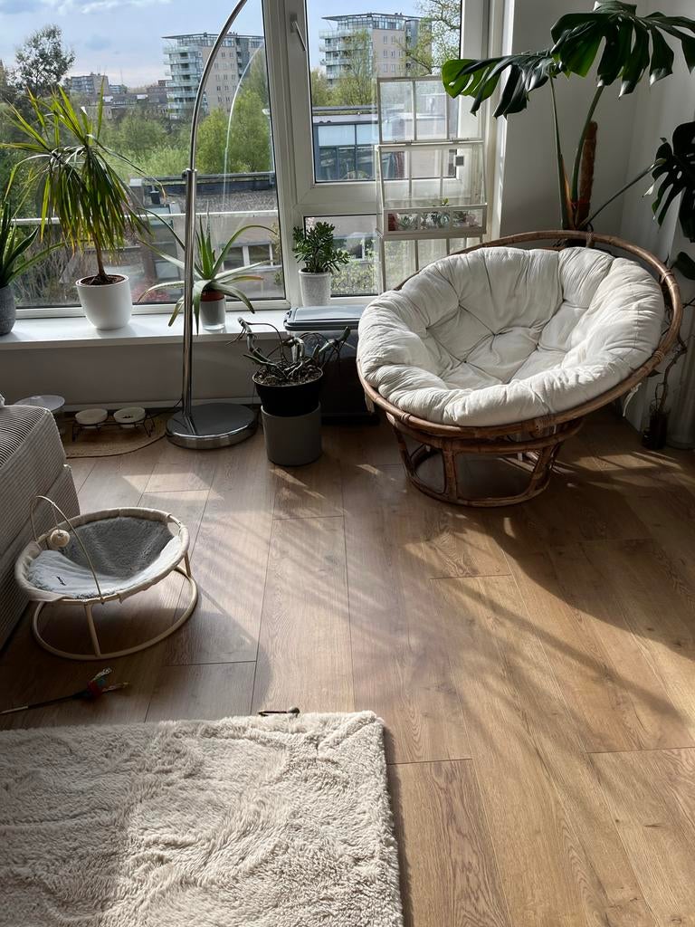 6 pakken Vilano eik natuur laminaat, ca. 16m² - Nieuwstaat, Ophalen, Bruin, Nieuw, 10 tot 25 m²