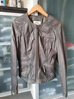 McGregor leren jasje, Maat 38/40 (M), McGregor, Ophalen of Verzenden, Zo goed als nieuw