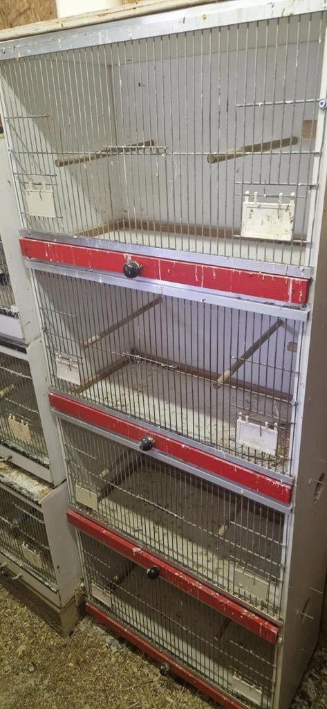 Broed/kweek kooien, Dieren en Toebehoren, Ophalen, Gebruikt, Kunststof, Broedkooi of Kweekkooi