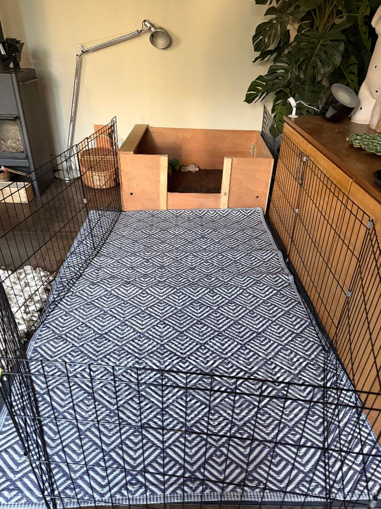 werpkist met ren en warmtelamp, Dieren en Toebehoren, Honden-accessoires, Ophalen, Zo goed als nieuw