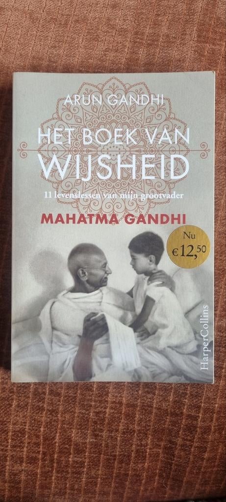Het Boek van Wijsheid - Mahatma Gandhi door Arun Gandhi, Ophalen of Verzenden, Zo goed als nieuw, Arun Gandhi