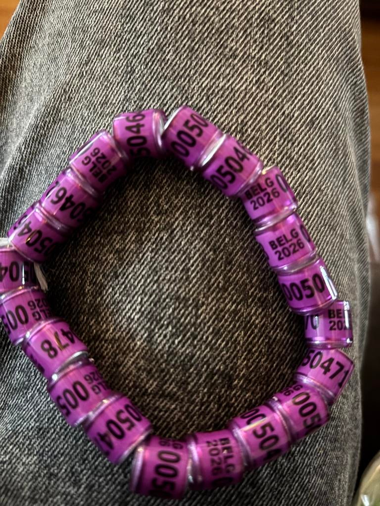 Postduiven ringen BELGIË, Dieren en Toebehoren, Meerdere dieren, Postduif