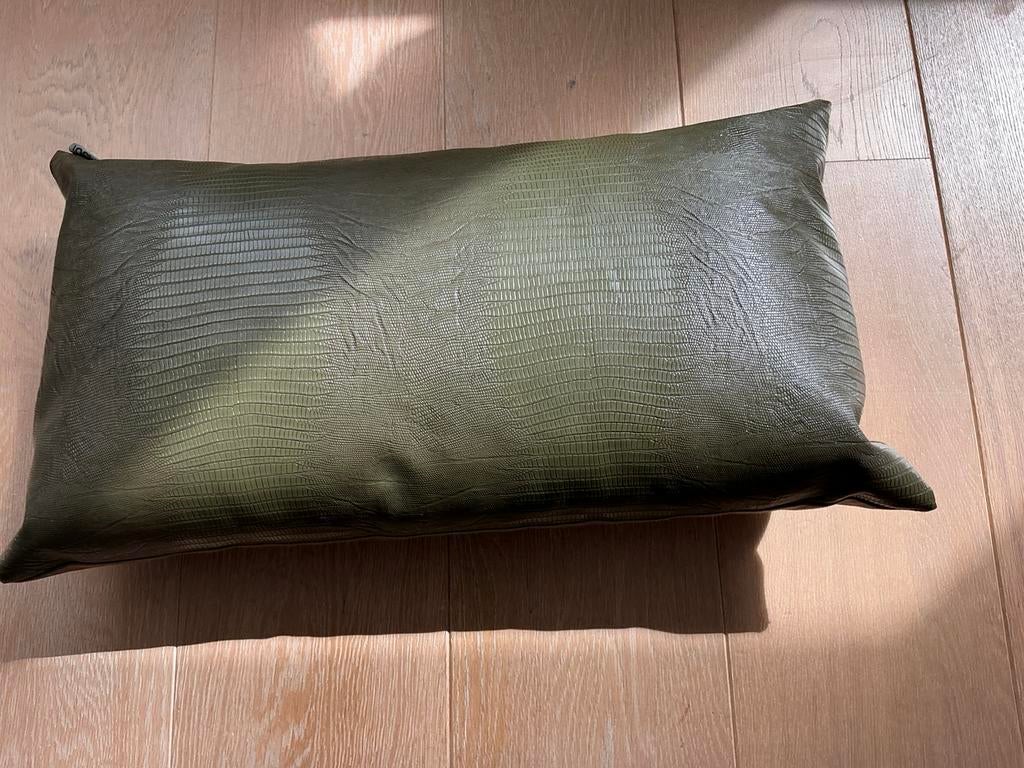 Claudi sier kussen, Huis en Inrichting, Woonaccessoires | Kussens, Ophalen of Verzenden, Zo goed als nieuw, Groen, Rechthoekig