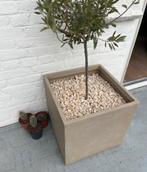 Vierkante Fiber Clay Taupe Bloempot Bak, Ophalen, Overige materialen, Minder dan 60 cm, Vierkant