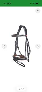 Kieffer hoofdstel bruin onderlegd maat full, Ophalen of Verzenden, Zo goed als nieuw, Dressuur