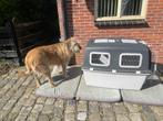 grote flightcase voor hond, Dieren en Toebehoren, Ophalen, Zo goed als nieuw