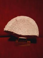 Fossiel gebruikt als werktuig, Ophalen of Verzenden, Fossiel