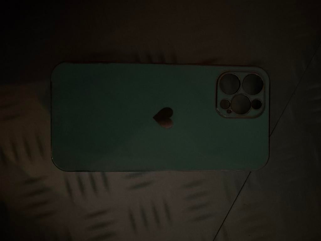 Leuk hoesje voor iPhone 12 Pro Max, Gebruikt, Overige merken, Hoesje of Tasje, Ophalen of Verzenden