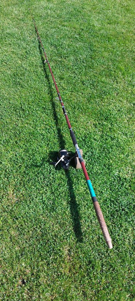 Walhengel + Albatros Mitchell 386 molen, Watersport en Boten, Ophalen of Verzenden, Zo goed als nieuw, Complete hengel