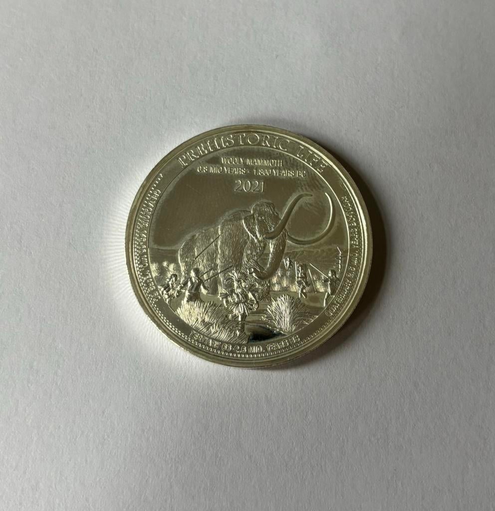 Zilveren 1 oz munt, Verzenden, Overige landen, Losse munt, Zilver
