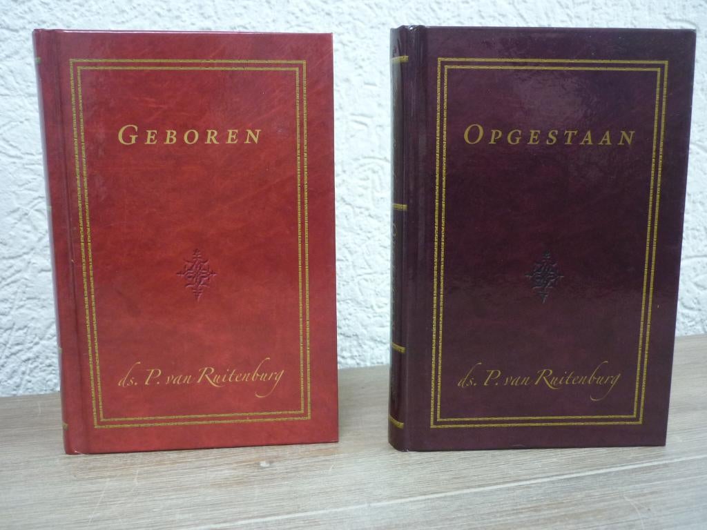Ds. P. Ruitenburg - Geboren - Opgestaan, Boeken, Ophalen of Verzenden, Zo goed als nieuw, Christendom | Protestants