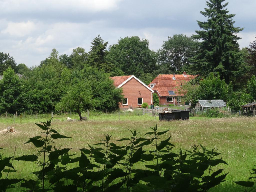 Vakantie in Annen Drenthe, In bos, Overige typen, Landelijk, 1 slaapkamer