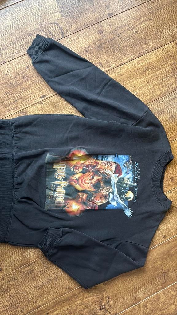 Harry Potter trui 145 / 152, Kinderen en Baby's, Kinderkleding | Maat 134, Ophalen of Verzenden, Gebruikt, Jongen of Meisje, Trui of Vest