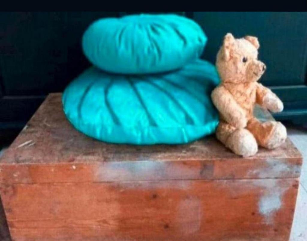 Antieke opbergkist Stoer & Sober, Ophalen, 50 tot 100 cm, Minder dan 50 cm, Minder dan 50 cm