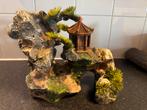 Inrichting aquarium, Ophalen, Plant(en), Steen of Hout