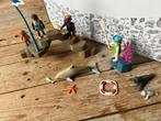 Playmobil dolfinarium, Ophalen of Verzenden