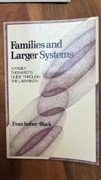 Evan Imber Black Families and larger systems, Ophalen of Verzenden, Zo goed als nieuw