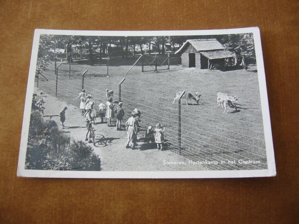 SOMEREN =  HERTENKAMP IN HET CENTRUM, Ophalen of Verzenden, 1940 tot 1960, Gelopen