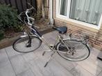 Damesfiets, Fietsen en Brommers, Fietsen | Dames | Damesfietsen, Ophalen, Versnellingen, Gazelle, 53 tot 56 cm
