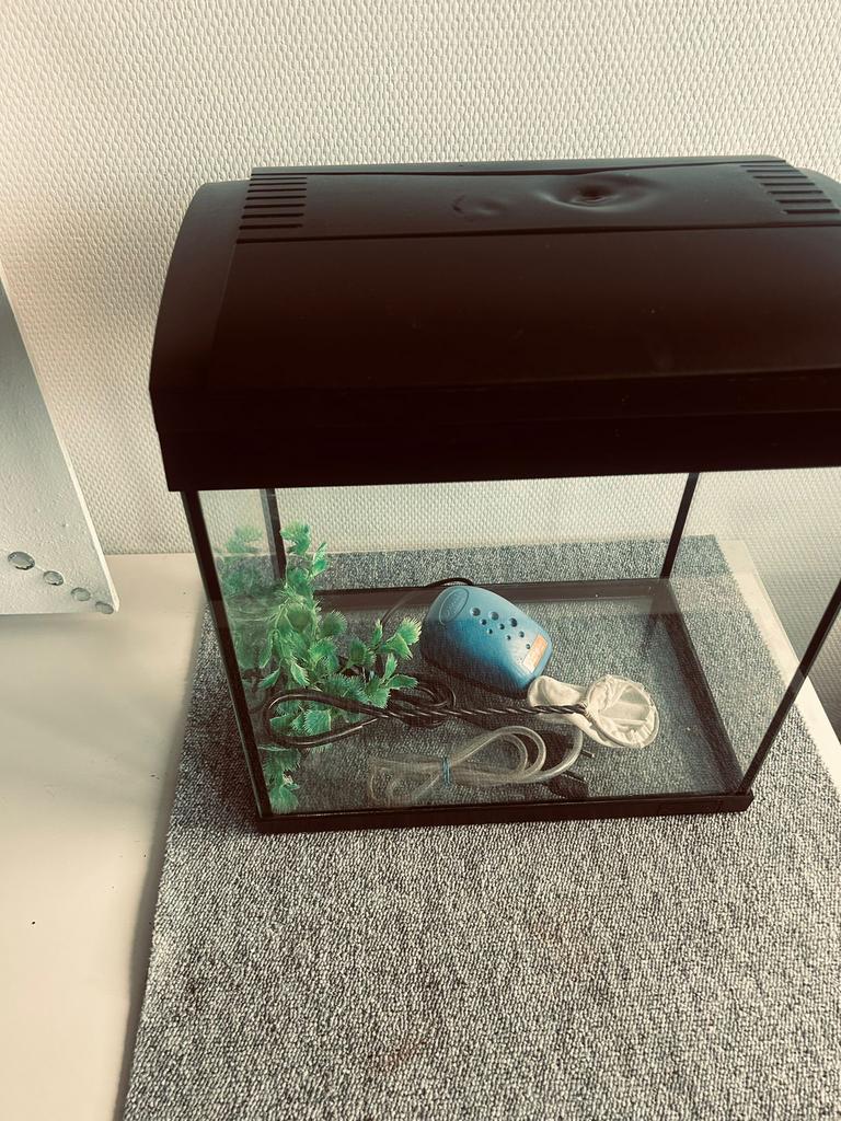 Aquarium, Ophalen, Inclusief planten, Gebruikt