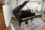C. Bechstein Vleugel - Professioneel Gerenoveerd (1875), Muziek en Instrumenten, Piano's, Ophalen, Gebruikt, Zwart, Hoogglans