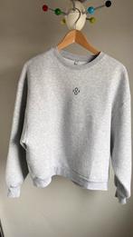 Summum Sweater Grijs Nieuw Maat XS - Super Zacht, Kleding | Dames, Truien en Vesten, Ophalen of Verzenden, Nieuw, Maat 34 (XS) of kleiner