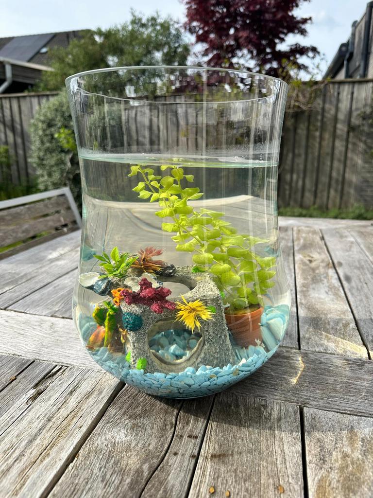 Vissenkom met toebehoren, Ophalen, Zo goed als nieuw, Leeg aquarium