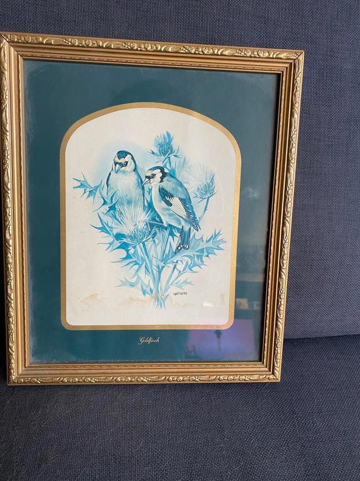 Set van 2 vintage schilderijlijsten met vogelafbeeldingen, Huis en Inrichting, Woonaccessoires | Lijsten, Gebruikt, Minder dan 50 cm