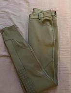 Nikki rijbroek/ rijlegging nieuw 36, Ophalen of Verzenden, Nieuw, Dressuur, Onderkleding