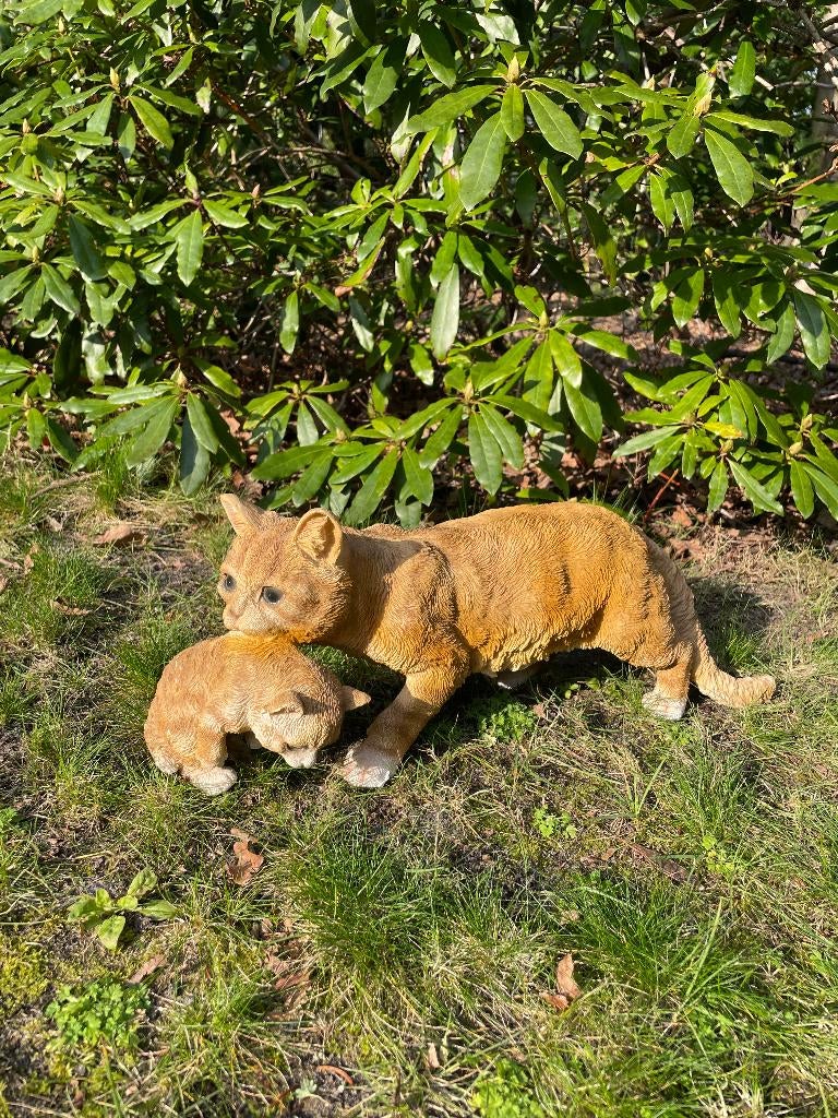 Poes, kat, Bruin, tuin, gazon, kitten, boerderij 50cm, Ophalen of Verzenden, Nieuw, Kunststof, Dierenbeeld