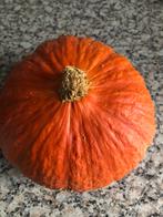 Oranje pompoen zaden te koop, Ophalen, Volle zon