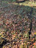 Druppel slang, hoekjes en pinnen voor tuinirrigatie rainbird, Ophalen, Gebruikt, Overige typen