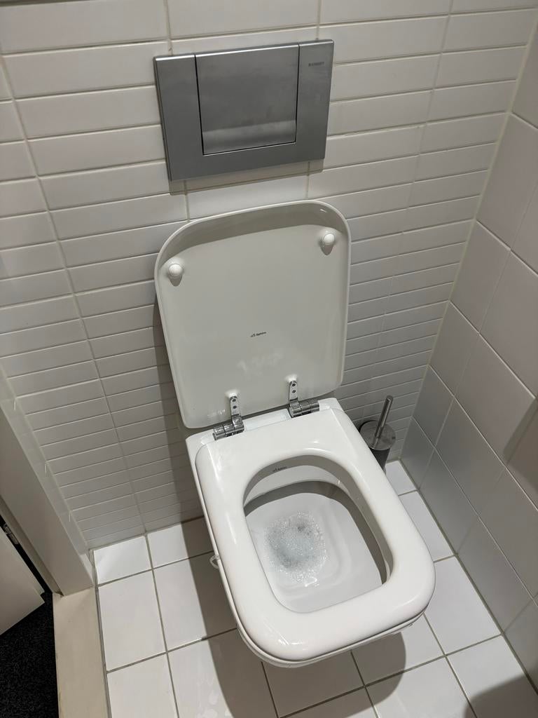 Sphinx Toilet en Fontein met Kraan en Drukplaat, Doe-het-zelf en Verbouw, Sanitair, Ophalen, Gebruikt, Toilet