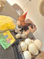 Paasdecoratie, Diversen, Pasen, Ophalen of Verzenden