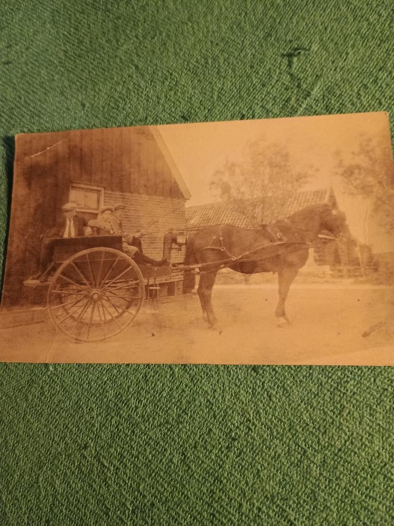 Paard en wagen ansichtkaart, Verzenden, Voor 1920, Ongelopen, Ambachten of Beroep